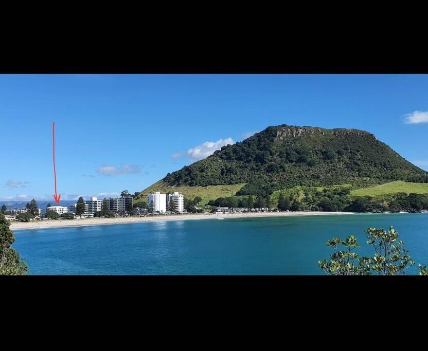 Fabulous Apartment In The Atrium, Mt Maunganui Mount Maunganui Bagian luar foto